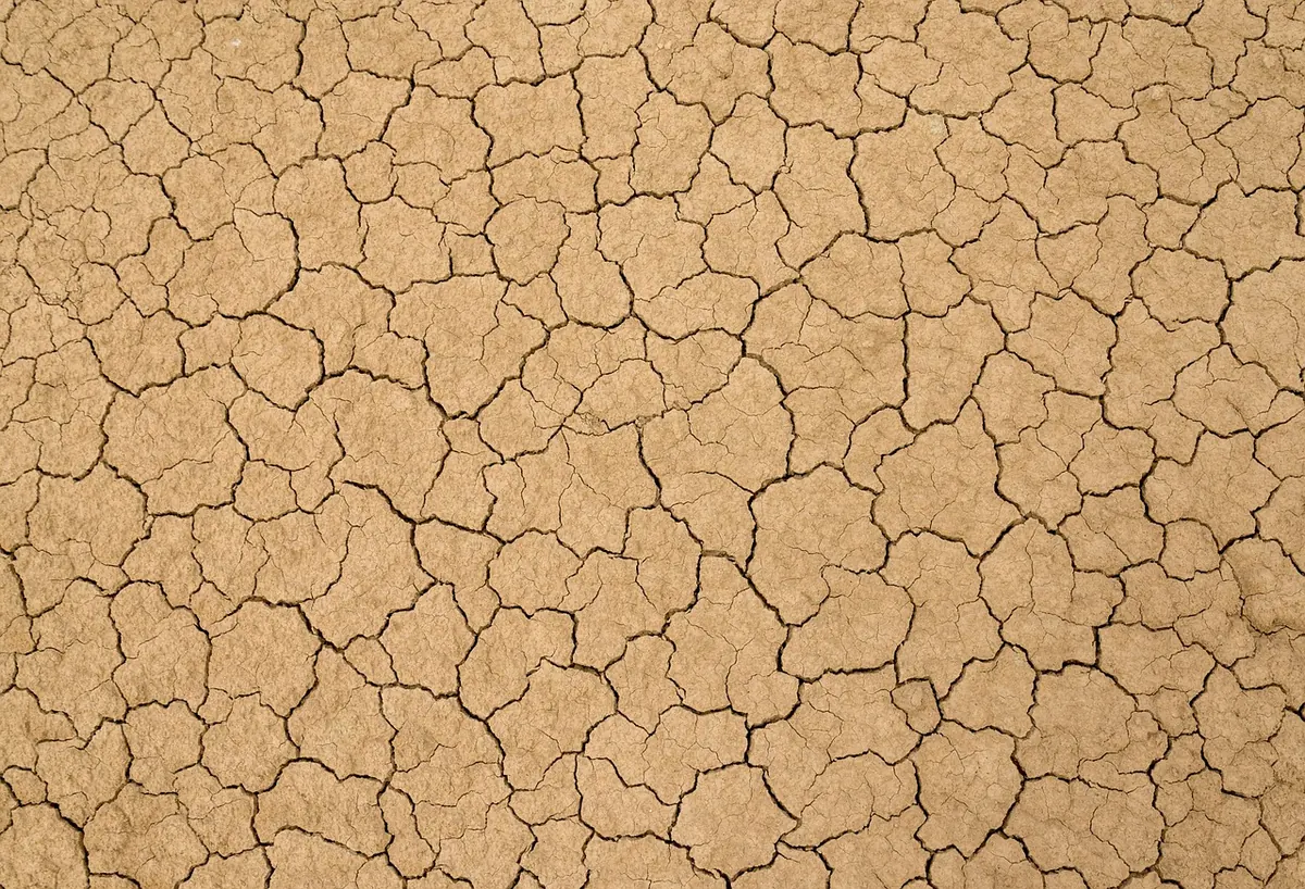 Air-Dry Clay vs Kiln-Fired Clay: Which Is Right for Your Project?